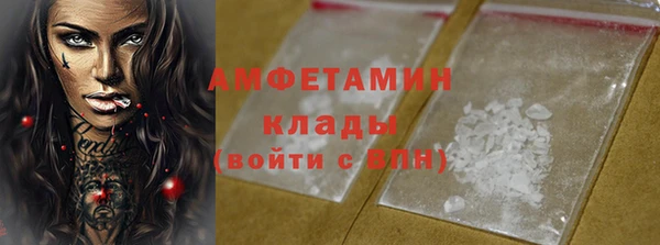 ПСИЛОЦИБИНОВЫЕ ГРИБЫ Няндома