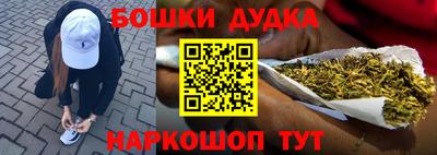 дмт Кингисепп