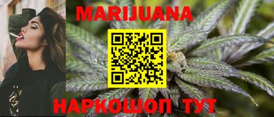 дмт Кингисепп