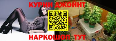 дмт Кингисепп