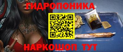 дмт Кингисепп