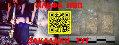 дмт Кингисепп