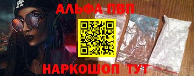 дмт Кингисепп