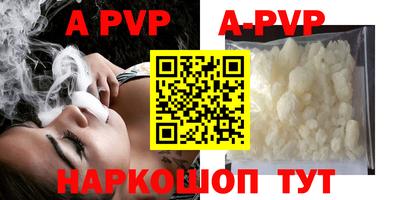 дмт Кингисепп