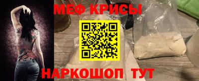 дмт Кингисепп
