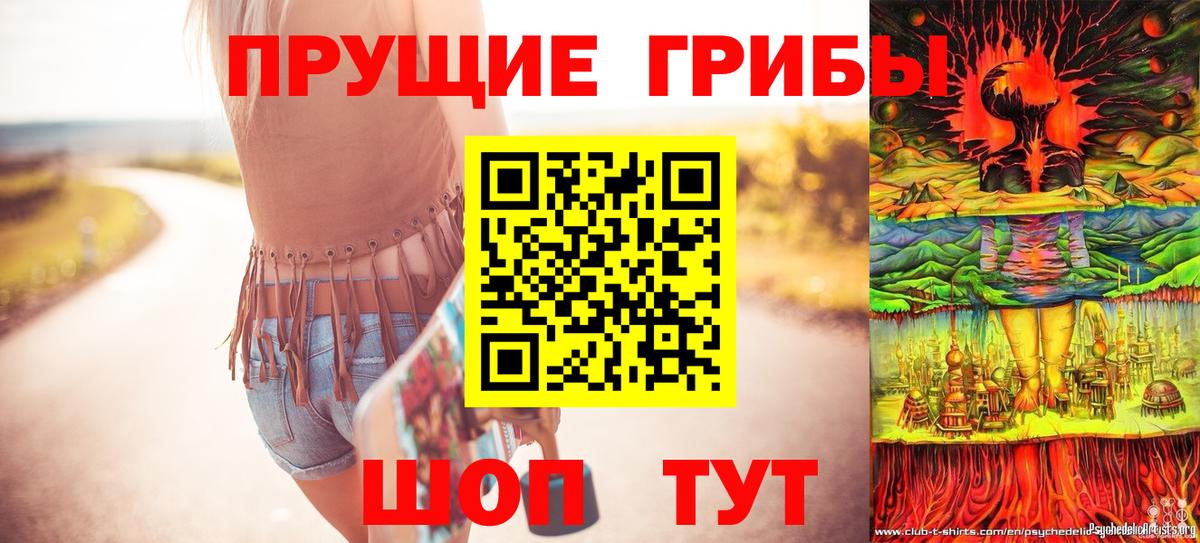 Краснодар  Галлюциногенные грибы Cubensis  Галлюциногенные грибы прущие грибы  Вход с VPN 